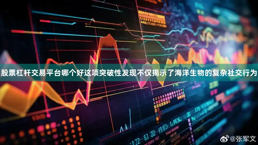 股票杠杆交易平台哪个好这项突破性发现不仅揭示了海洋生物的复杂社交行为