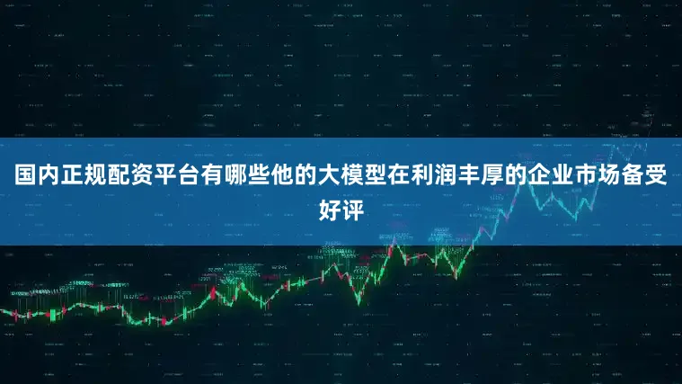 国内正规配资平台有哪些他的大模型在利润丰厚的企业市场备受好评